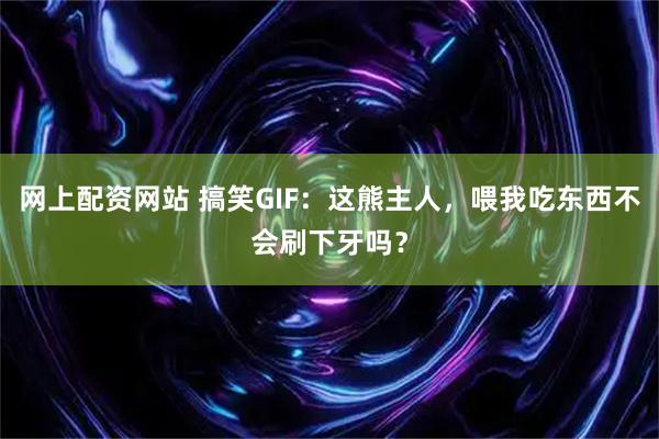 网上配资网站 搞笑GIF：这熊主人，喂我吃东西不会刷下牙吗？