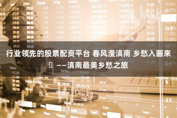 行业领先的股票配资平台 春风漫滇南 乡愁入画来​——滇南最美乡愁之旅